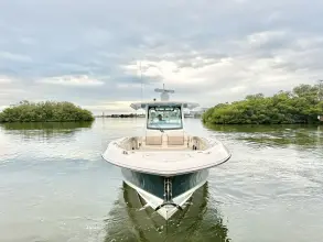 Thumbnail von Boston Whaler 360 Outrage