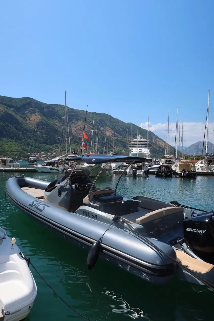 Thumbnail von Sacs Strider 10