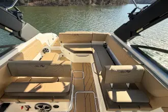 Thumbnail von Sea Ray SDX 250 Surf