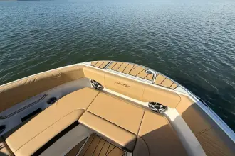 Thumbnail von Sea Ray SDX 250 Surf