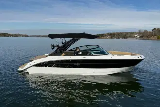 Thumbnail von Sea Ray SDX 250 Surf