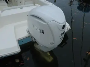 Thumbnail von Cobia 240 DC