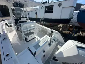 Thumbnail von Blackfin 222 CC B340 Arctic