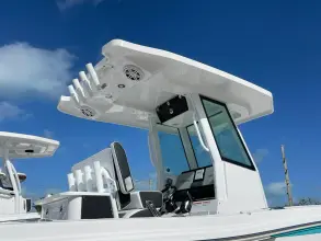 Thumbnail von Blackfin 252 CC