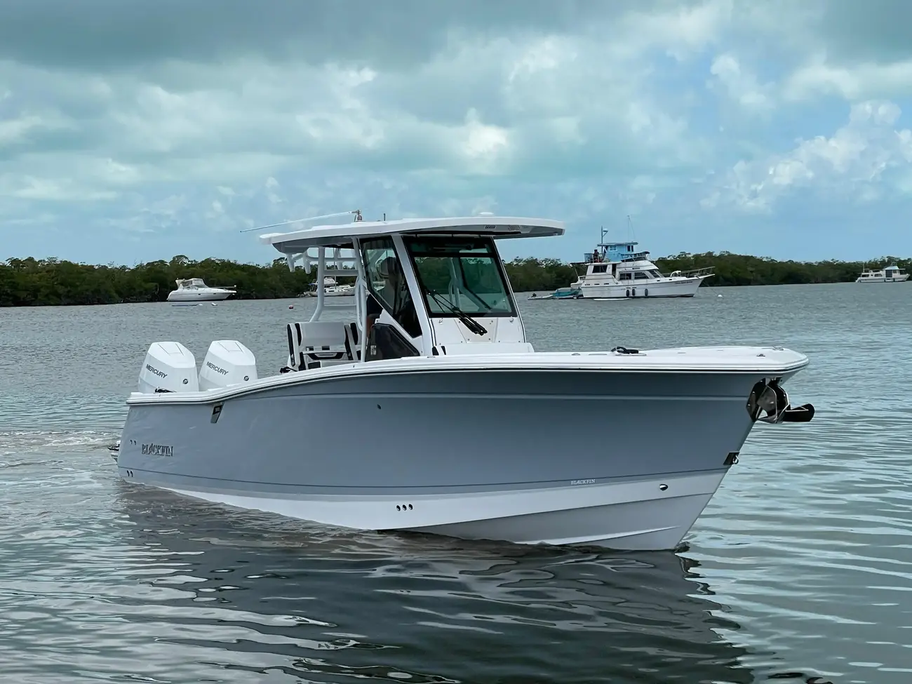 Blackfin 302 CC WHISPER GRAU