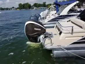 Thumbnail von Bennington 25 RFB