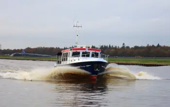 Thumbnail von Pedro Donky 37