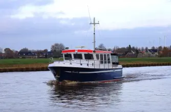 Thumbnail von Pedro Donky 37