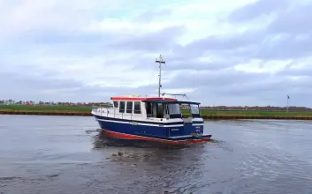 Thumbnail von Pedro Donky 37