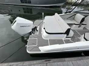 Thumbnail von Sea Ray SPX 210 Dıştan Takma