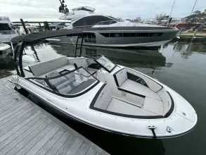 Thumbnail von Sea Ray SPX 210 Dıştan Takma