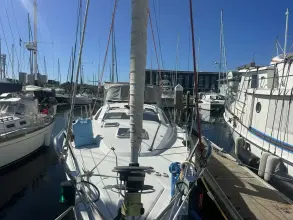 Thumbnail von Jeanneau Sun Odyssey 42 DS Salty Solution