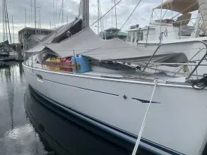 Thumbnail von Jeanneau Sun Odyssey 42 DS Salty Solution