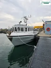 Thumbnail von Sygnus Catfish The Black Pearl