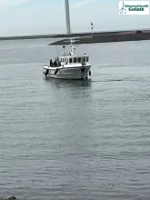 Thumbnail von Sygnus Catfish The Black Pearl