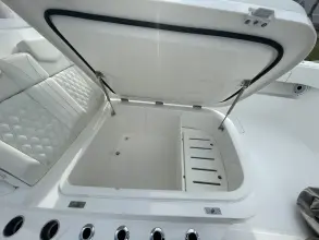 Thumbnail von Invincible 33 Catamaran