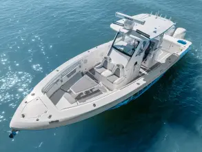 Thumbnail von Everglades 325 CC