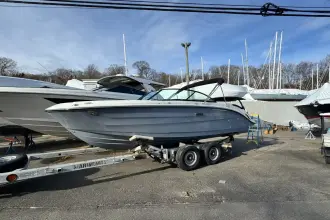 Thumbnail von Sea Ray SDX 230 Outboard