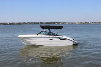 Sea Ray SDX 230