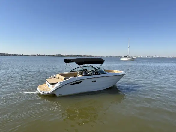 Sea Ray SDX 230