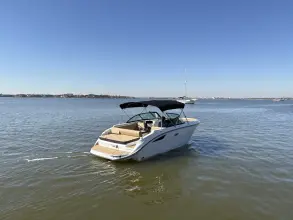Thumbnail von Sea Ray SDX 230