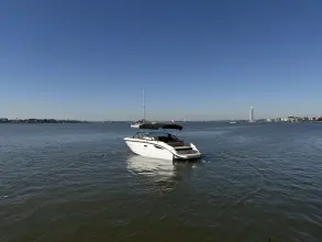 Thumbnail von Sea Ray SDX 230