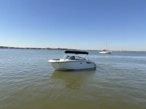 Thumbnail von Sea Ray SDX 230