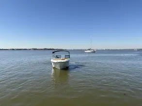 Thumbnail von Sea Ray SDX 230