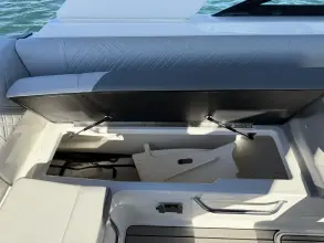 Thumbnail von Sea Ray SDX 250 Outboard