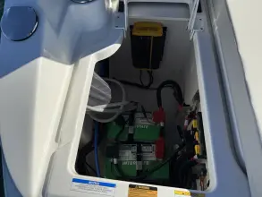 Thumbnail von Sea Ray SDX 250 Outboard