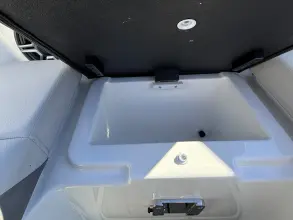 Thumbnail von Sea Ray SDX 250 Outboard