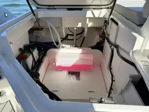 Thumbnail von Sea Ray SDX 250 Outboard