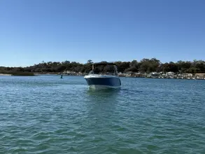Thumbnail von Sea Ray SDX 250 Outboard