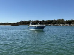 Thumbnail von Sea Ray SDX 250 Outboard