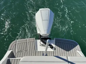 Thumbnail von Sea Ray SDX 250 Outboard