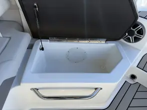 Thumbnail von Sea Ray SDX 250 Outboard