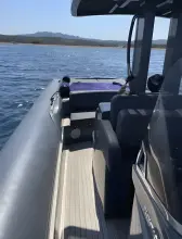 Thumbnail von Dariel Phantasia Surprise