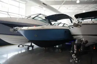 Sea Ray SDX 290 
