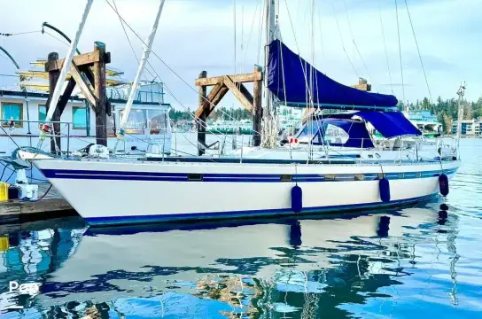Tayana 55