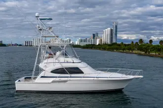 Thumbnail von Bertram 39 Convertible