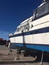 Thumbnail von Trader 58 Sunliner