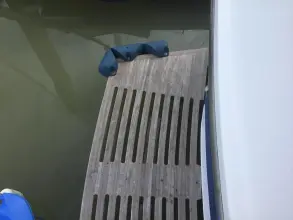 Thumbnail von Trader 58 Sunliner