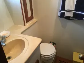 Thumbnail von Trader 58 Sunliner