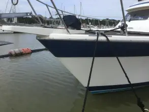 Thumbnail von Trader 58 Sunliner