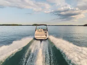 Thumbnail von Sea Ray SDX 250