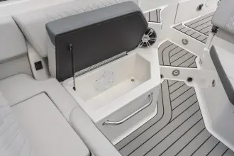 Thumbnail von Sea Ray SDX 250