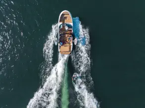 Thumbnail von Sea Ray SDX 250 Surf