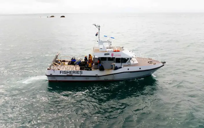 Camarc Norman Le Brocq Czerwony Sygnet - 4060