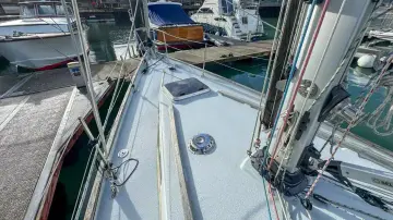 Thumbnail von Contessa 32 Gina