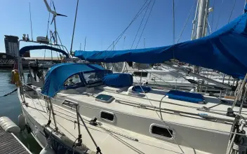 Thumbnail von Bowman 40 Mor-Ula